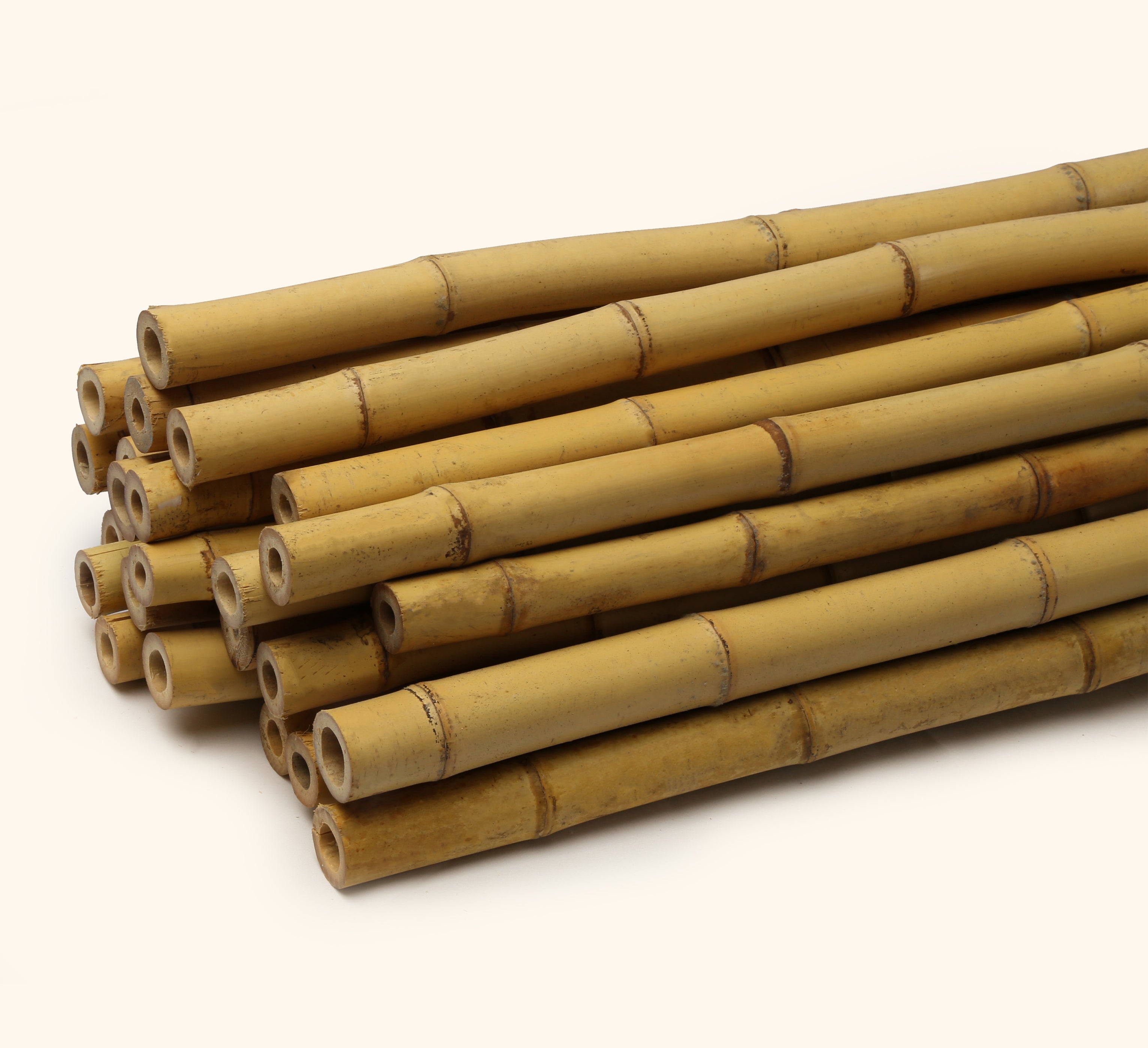 Bamboo Poles – Leiter's Sukkah